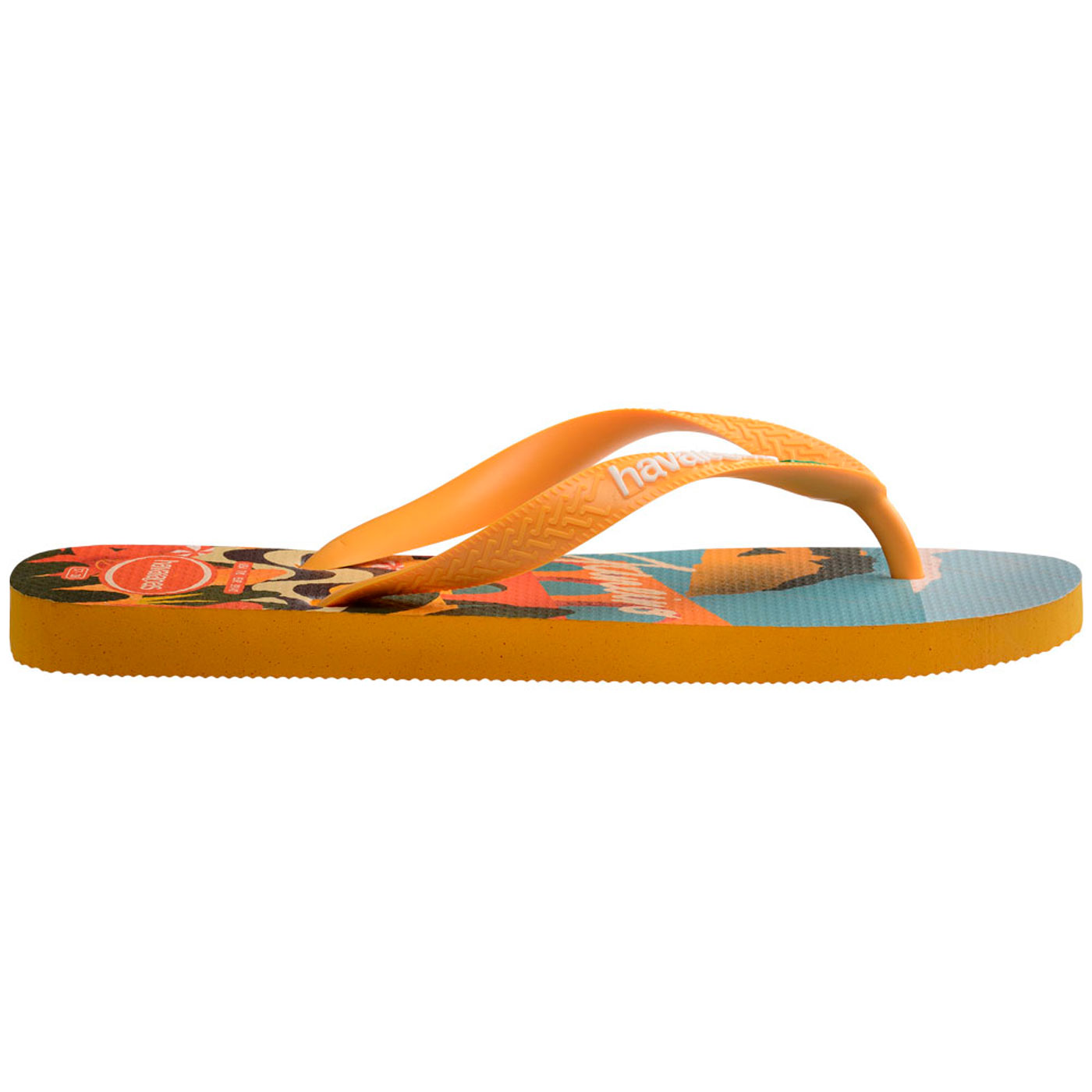 Chinelos Havaianas Top Postcard